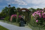 Сочи. В курортном городе появится первый в России лабиринт роз 