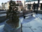 Владивосток. Администрация устроила выставку урн и скамеек