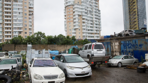 Владивосток. Глава Виталий Веркеенко поручил немедленно очистить муниципальные земли от самозахвата