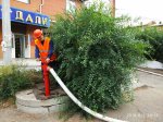 Улан-Удэ. Лучше предотвратить пожар, чем его тушить: подготовка муниципалитета к ЧС